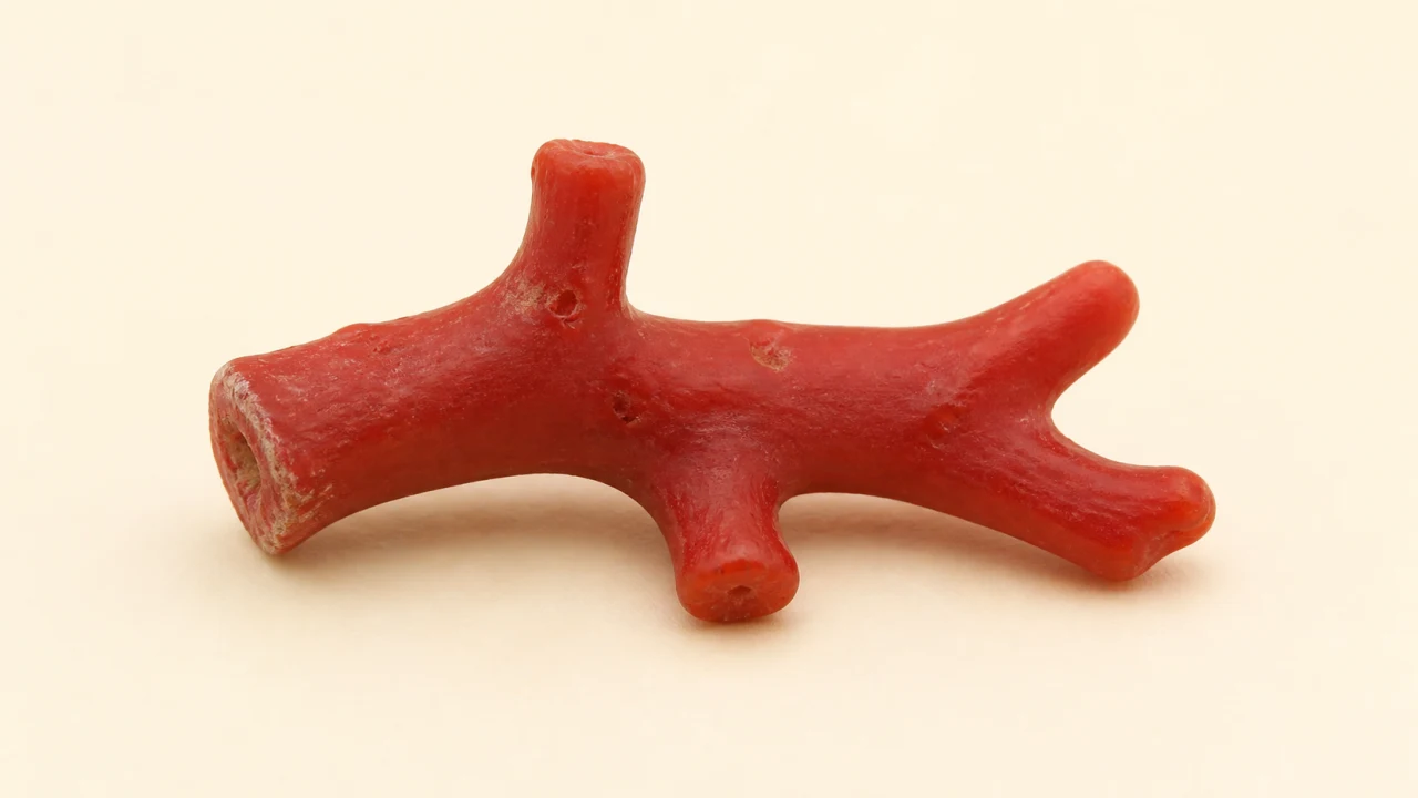 Symbolic review image of Precious Red Coral (Pravala)